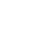 Zalmi